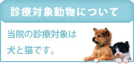 診療対象動物について＞当院の診療対象は犬と猫です。